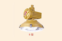 BZD-01防爆免維護(hù)低碳無(wú)極燈 Ⅱ型