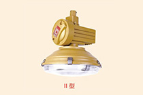 FZD-01免維護(hù)節(jié)能防水防塵防腐燈 Ⅱ型